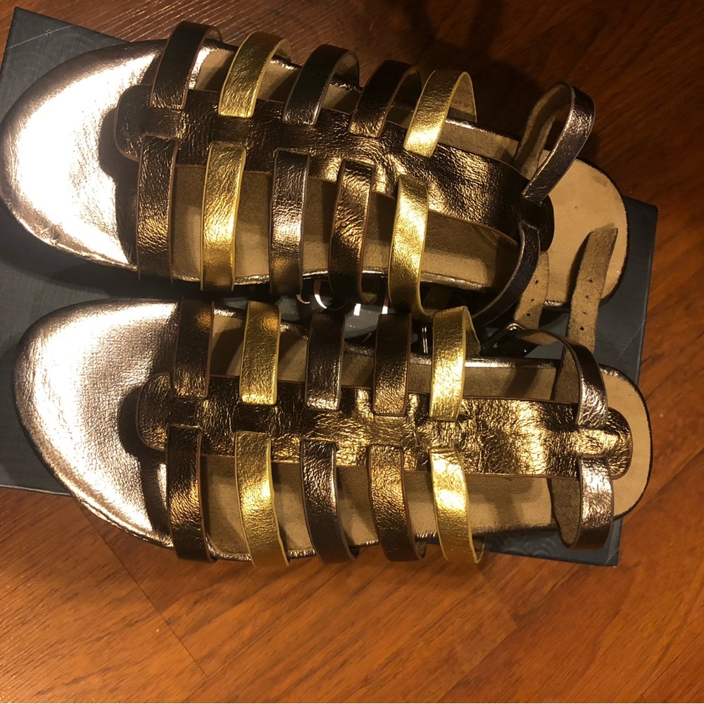Multi Metallic J Renee Sandals   with ankle strap Size 9 1/2 medium.